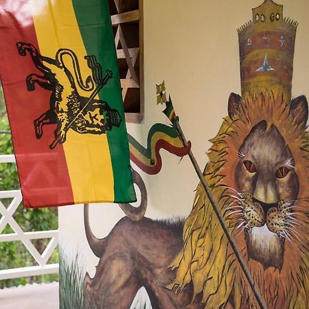 The Lion House Jamaica Villa Clifton Falls Kültér fotó