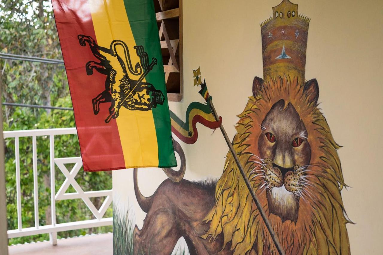 The Lion House Jamaica Villa Clifton Falls Kültér fotó